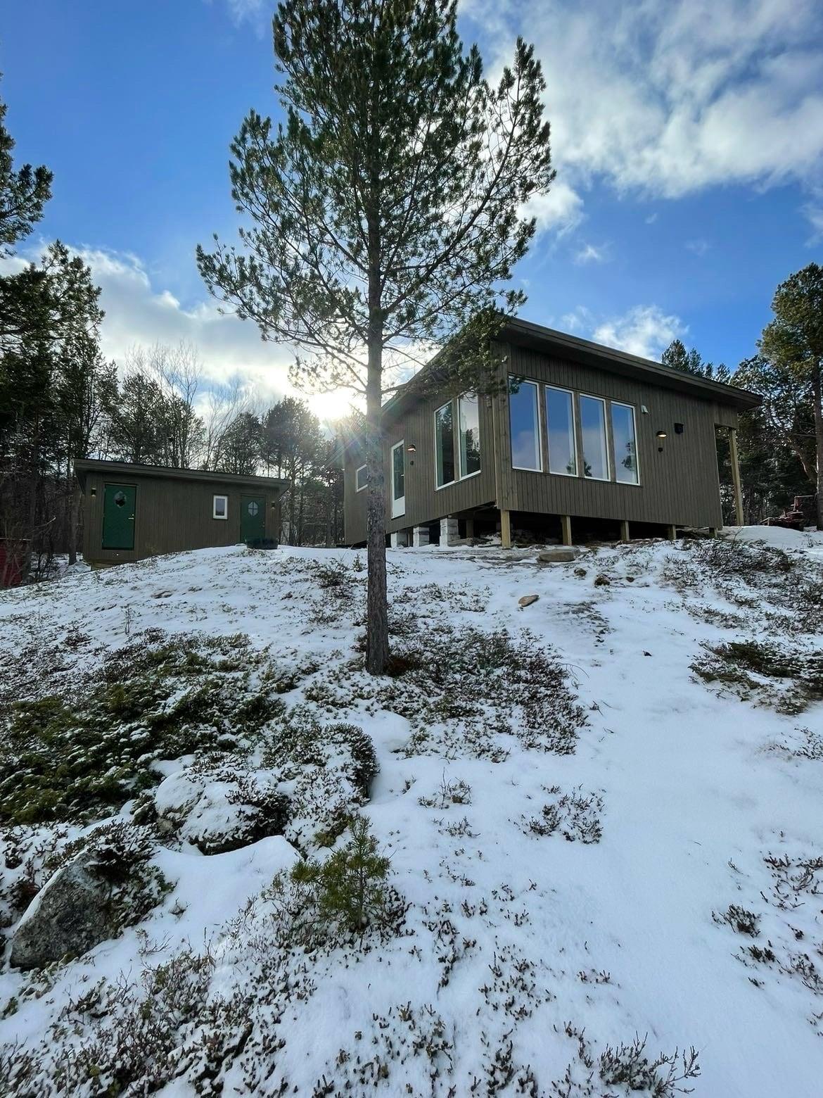 Hytte med mørk kledning mellom bjørketrær i snø